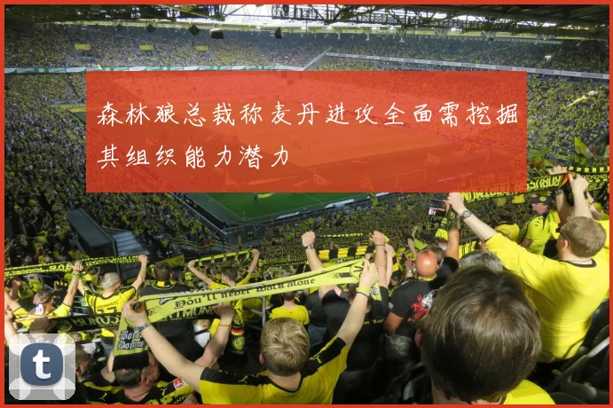 森林狼总裁称麦丹进攻全面需挖掘其组织能力潜力