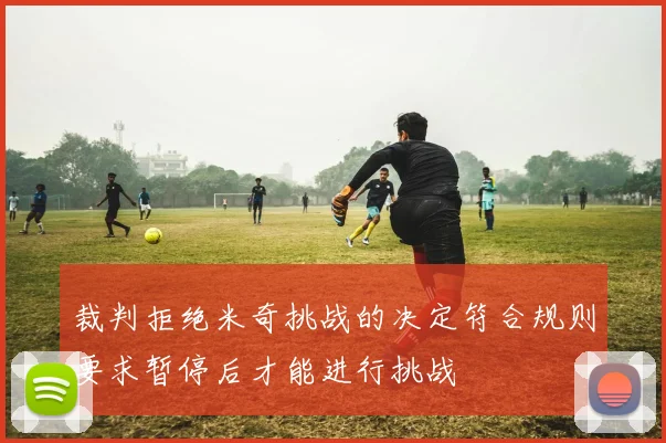 裁判拒绝米奇挑战的决定符合规则要求暂停后才能进行挑战